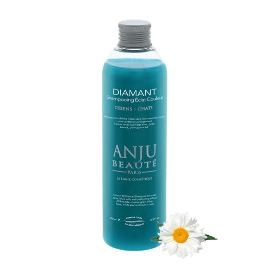 Shampooing Diamant Anju Beauté - Le Royaume de Lecki