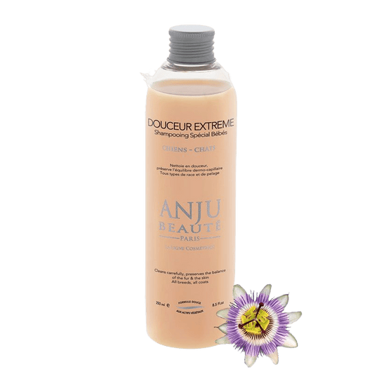 Shampooing Douceur Extrême Anju Beauté - Le Royaume de Lecki
