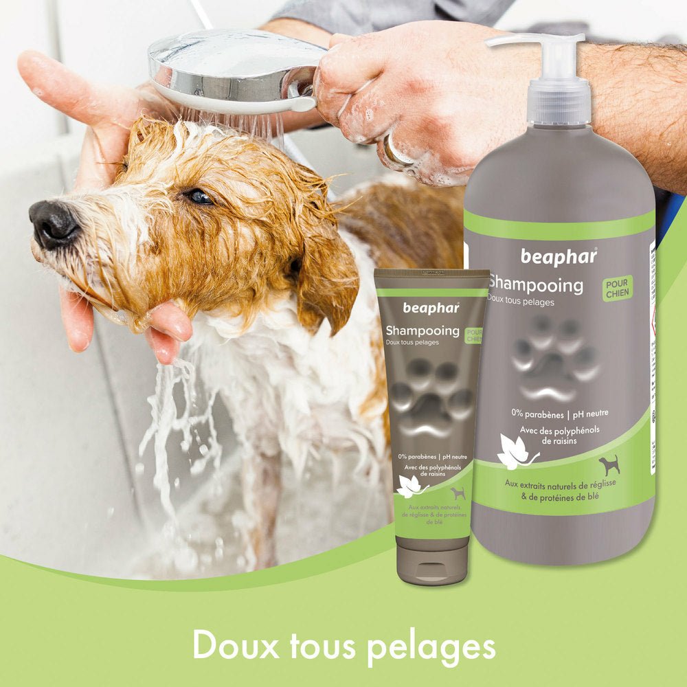 Shampooing doux tous pelages Beaphar - Le Royaume de Lecki