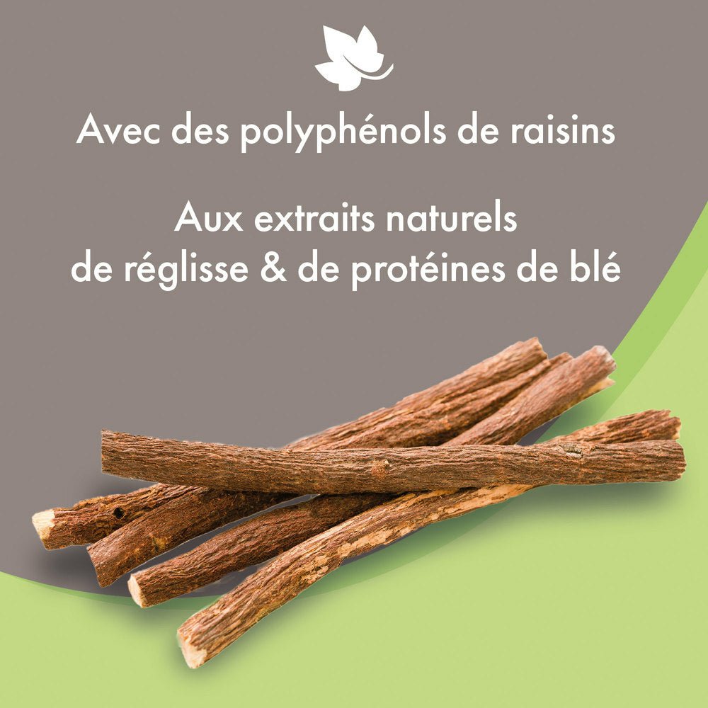 Shampooing doux tous pelages Beaphar - Le Royaume de Lecki