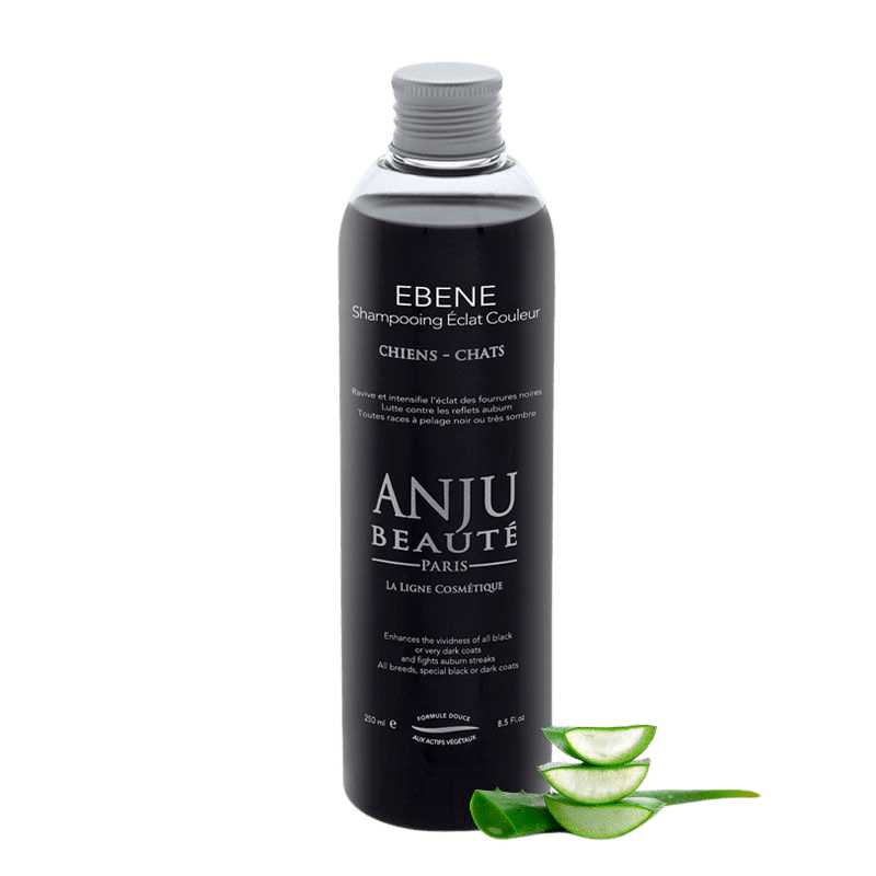 Shampooing Ébène Anju Beauté - Le Royaume de Lecki