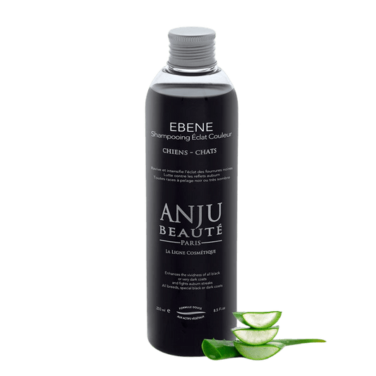 Shampooing Ébène Anju Beauté - Le Royaume de Lecki