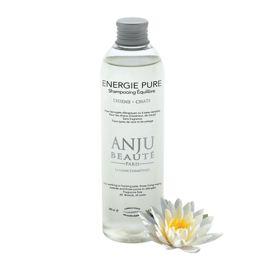 Shampooing Energie Pure Anju Beauté - Le Royaume de Lecki