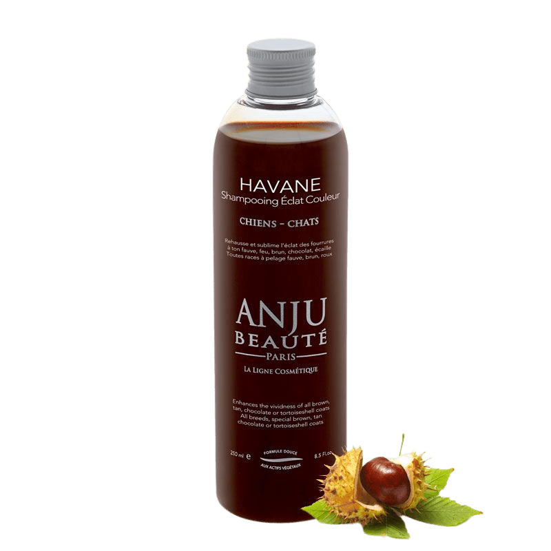 Shampooing Havane Anju Beauté - Le Royaume de Lecki