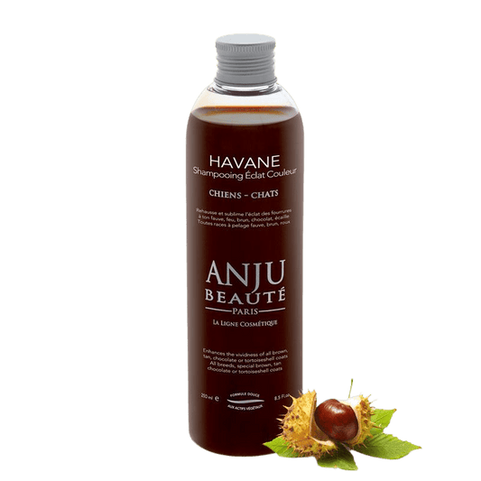 Shampooing Havane Anju Beauté - Le Royaume de Lecki
