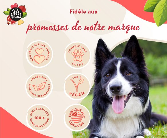 Shampooing solide Pet Head - Le Royaume de Lecki