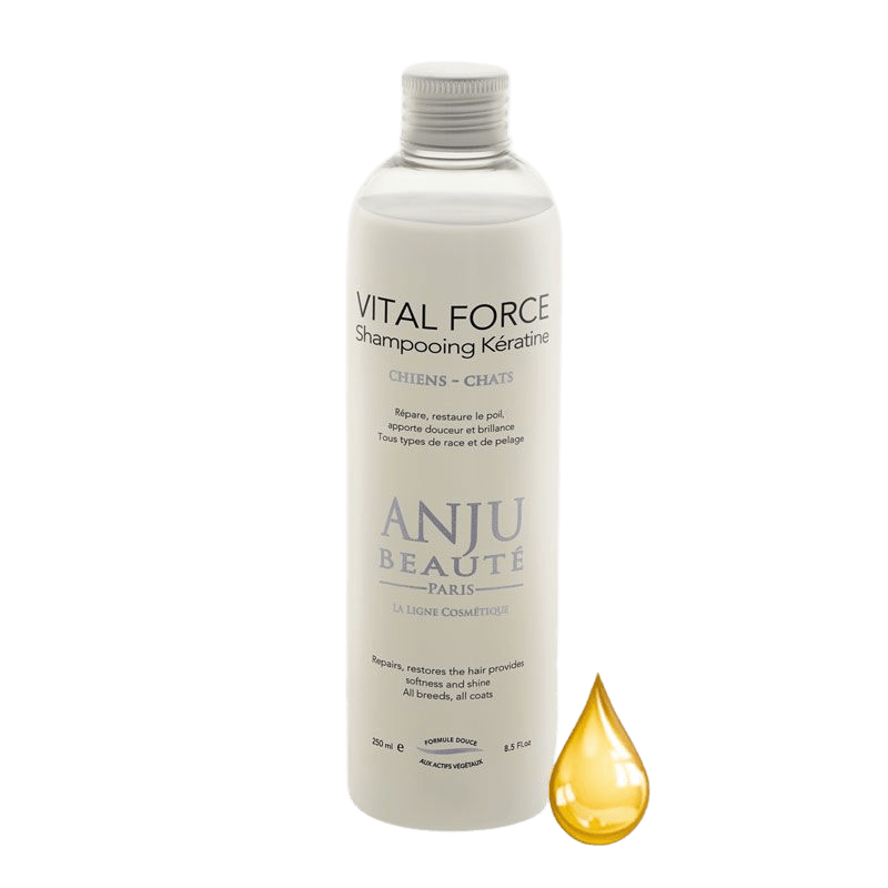 Shampooing Vital Force Anju Beauté - Le Royaume de Lecki