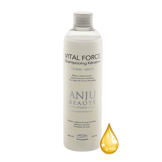 Shampooing Vital Force Anju Beauté - Le Royaume de Lecki
