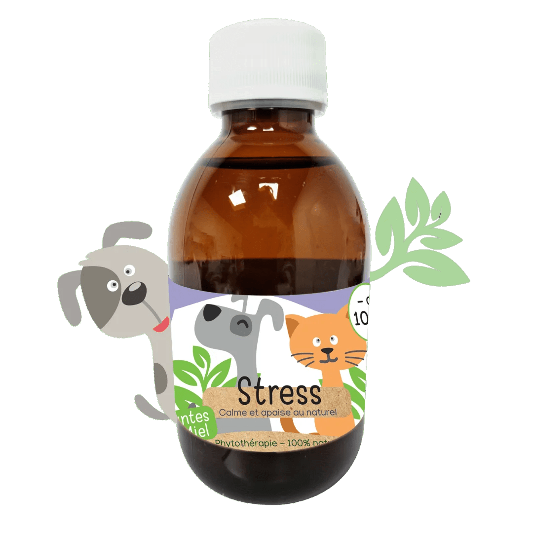 Sirop naturel Anti - stress chiens et chats Kas Tête - Le Royaume de Lecki