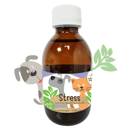Sirop naturel Anti - stress chiens et chats Kas Tête - Le Royaume de Lecki
