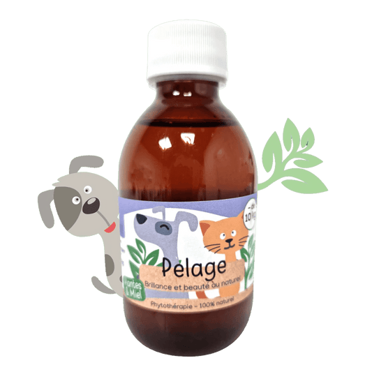 Sirop naturel Pelage chiens et chats Kas Tête - Le Royaume de Lecki