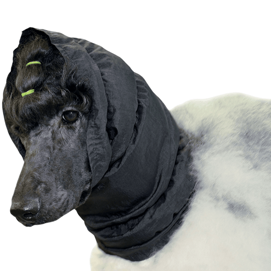 Snood pour oreilles - Le Royaume de Lecki