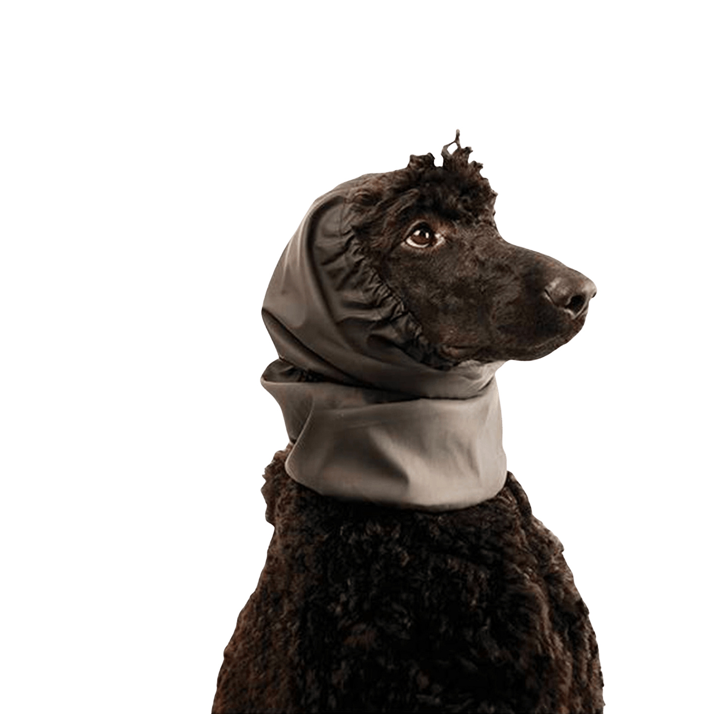 Snood Waterproof pour oreilles - Le Royaume de Lecki