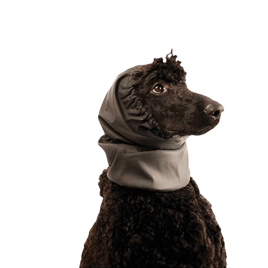 Snood Waterproof pour oreilles - Le Royaume de Lecki