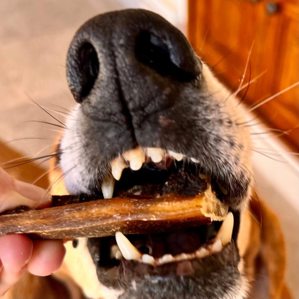 Spawghetti au Porc Cooka's Cookies - Le Royaume de Lecki