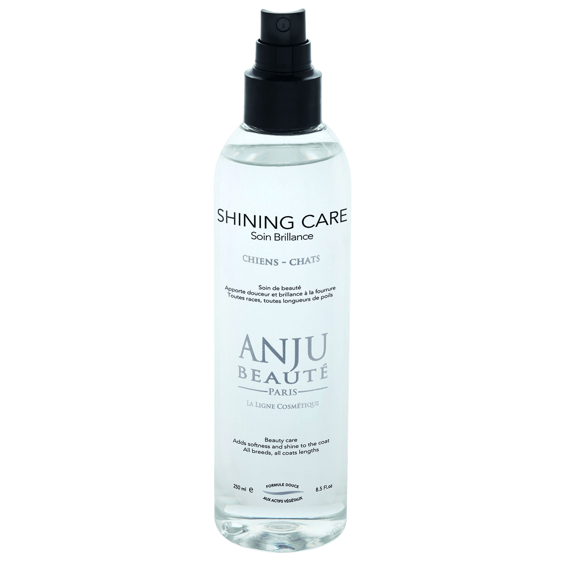 Spray Lotion Shining Care Anju Beauté - Le Royaume de Lecki