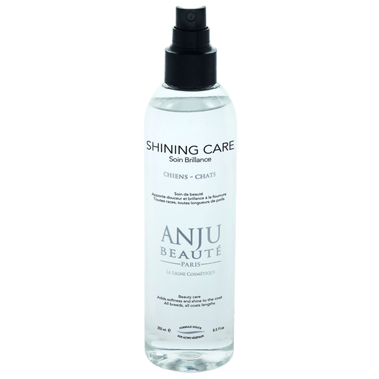 Spray Lotion Shining Care Anju Beauté - Le Royaume de Lecki