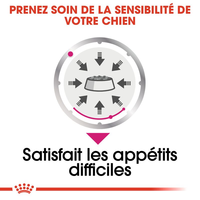 ROYAL CANIN® Exigent Mousse - Le Royaume de Lecki