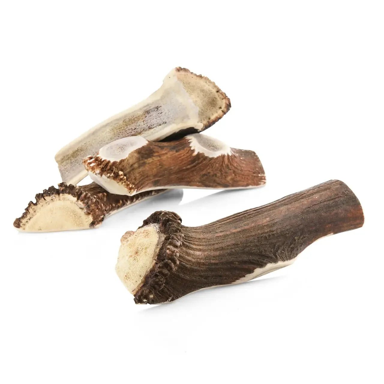 Bois de cerf tranché - Le Royaume de Lecki