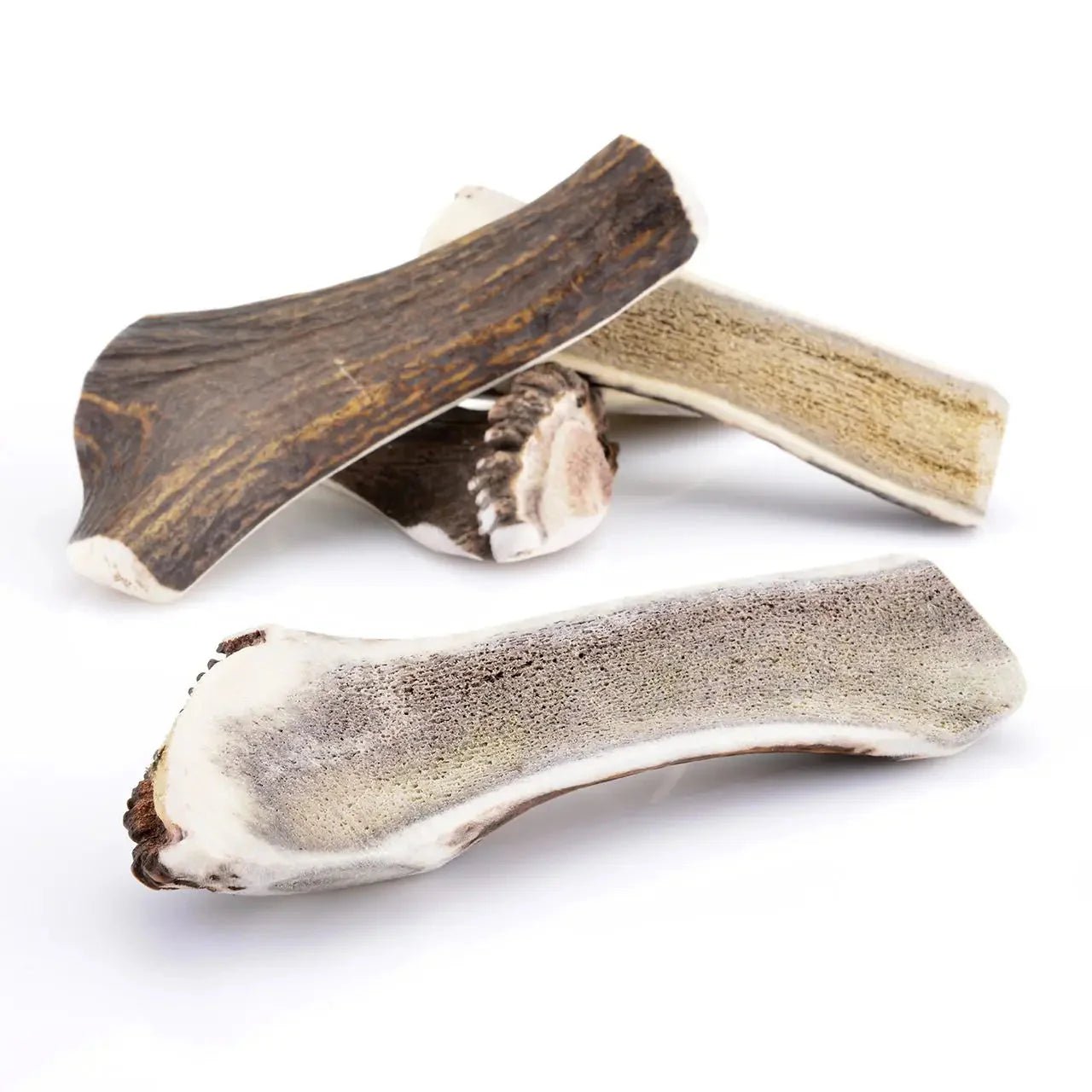 Bois de cerf tranché - Le Royaume de Lecki