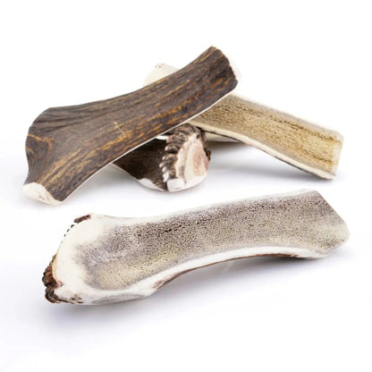 Bois de cerf tranché - Le Royaume de Lecki