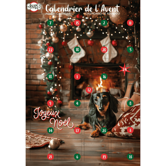 Calendrier de l'Avent pour chiens - 168g - Le Royaume de Lecki