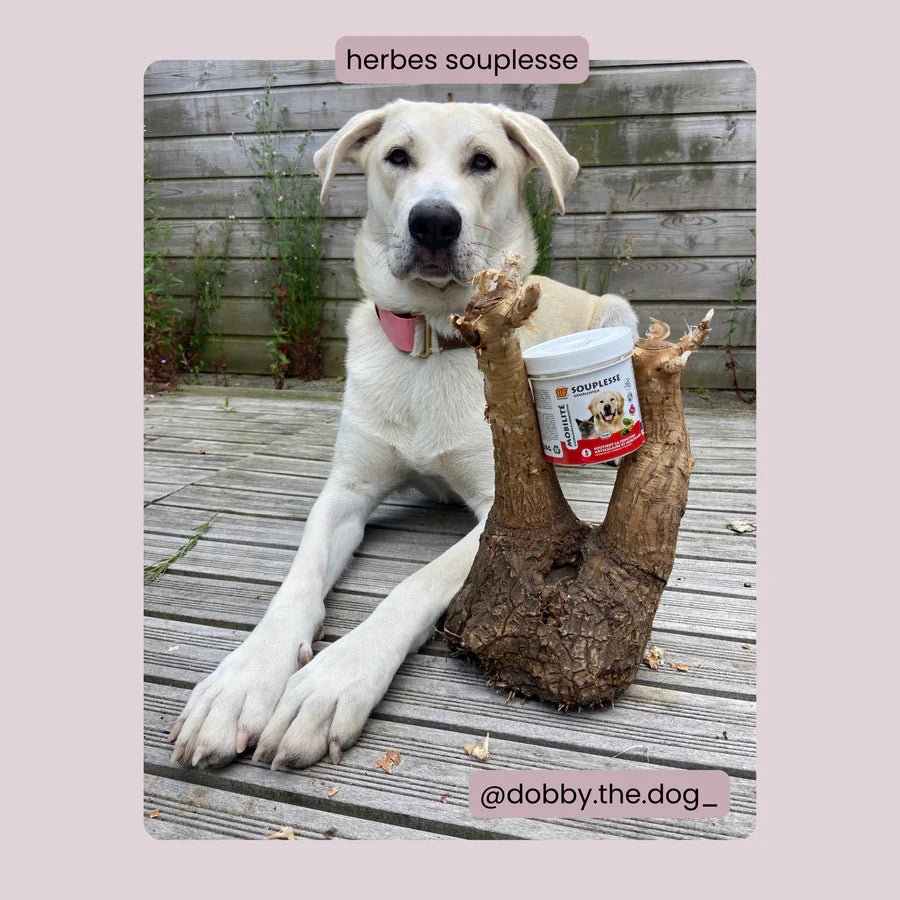 Complément alimentaire Souplesse BF®Petfood - Le Royaume de Lecki