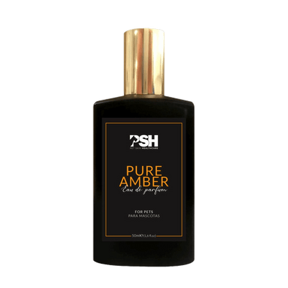 Eau de parfum Pure Amber - Le Royaume de Lecki