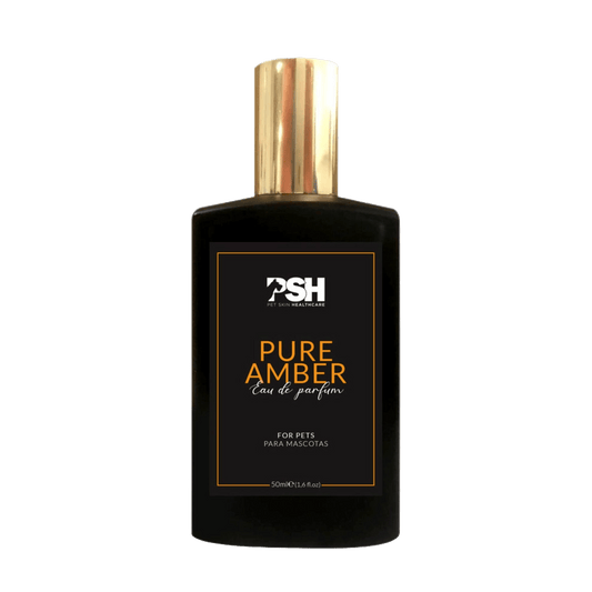 Eau de parfum Pure Amber - Le Royaume de Lecki