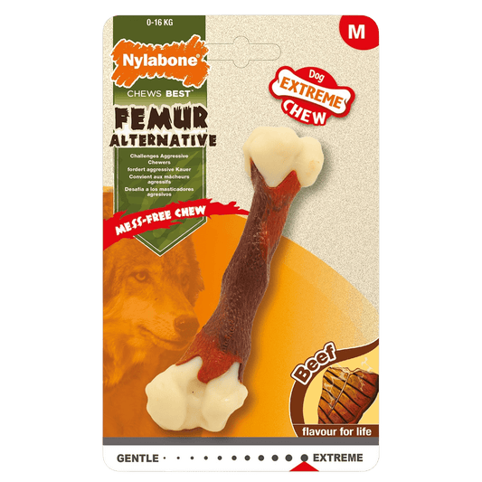 Extrême Chew Femur Nylabone - Le Royaume de Lecki