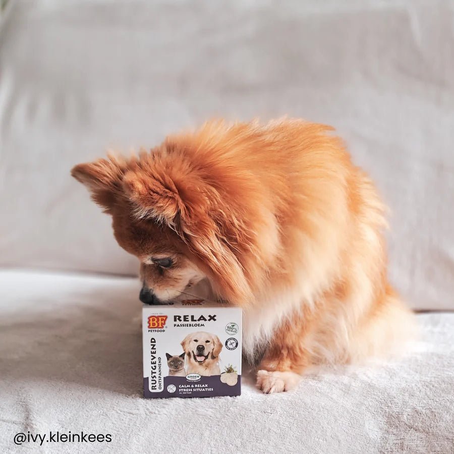 Friandises Relax BF®Petfood - Le Royaume de Lecki