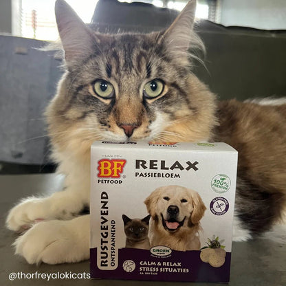 Friandises Relax BF®Petfood - Le Royaume de Lecki