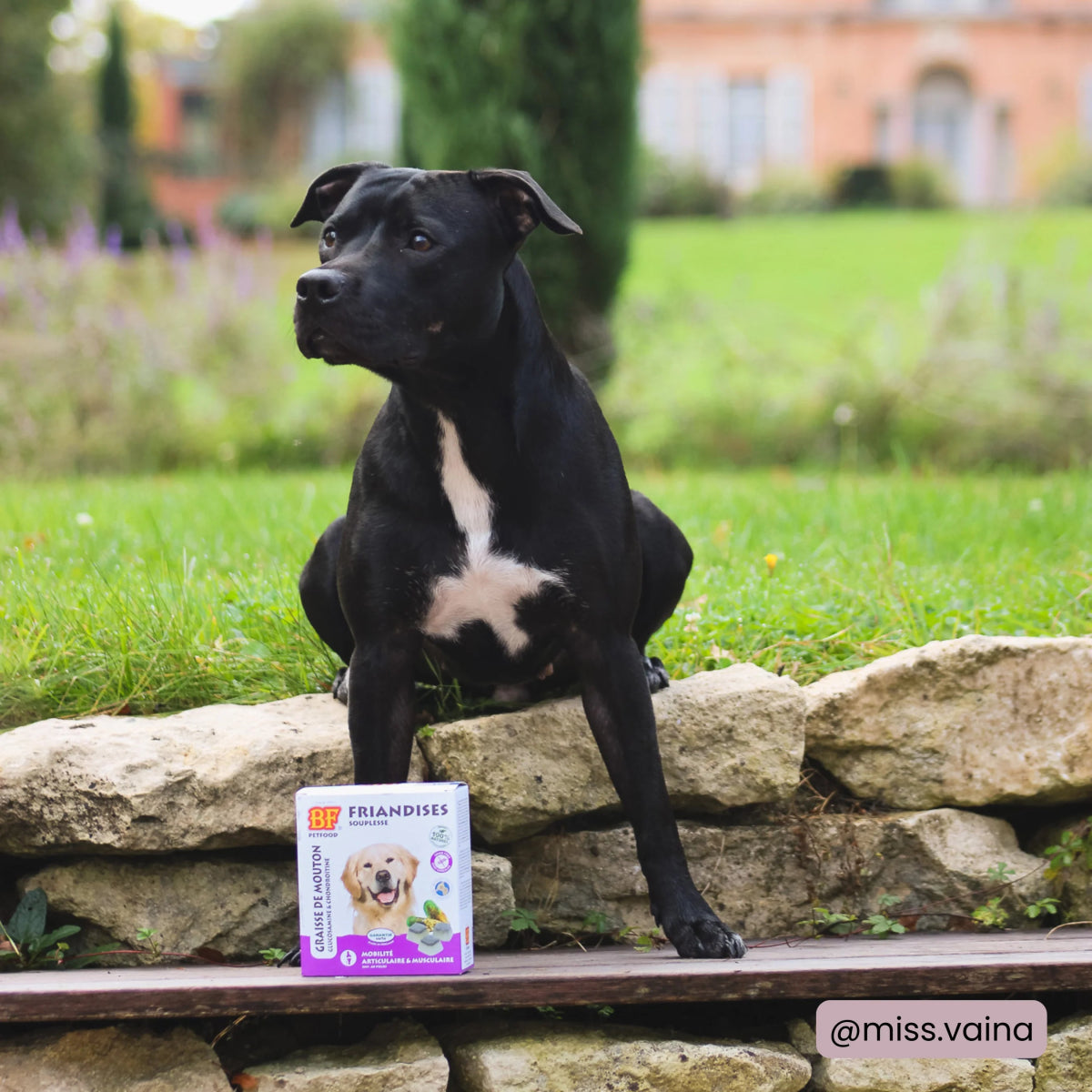 Friandises Souplesse BF®Petfood - Le Royaume de Lecki