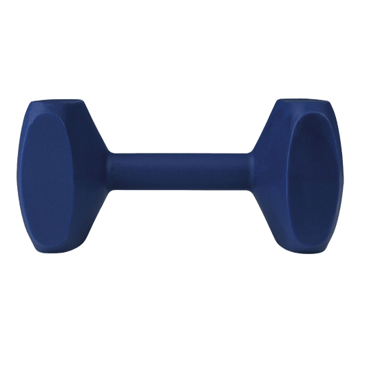 Haltère d'éducation Dumbbell Coachi - Le Royaume de Lecki
