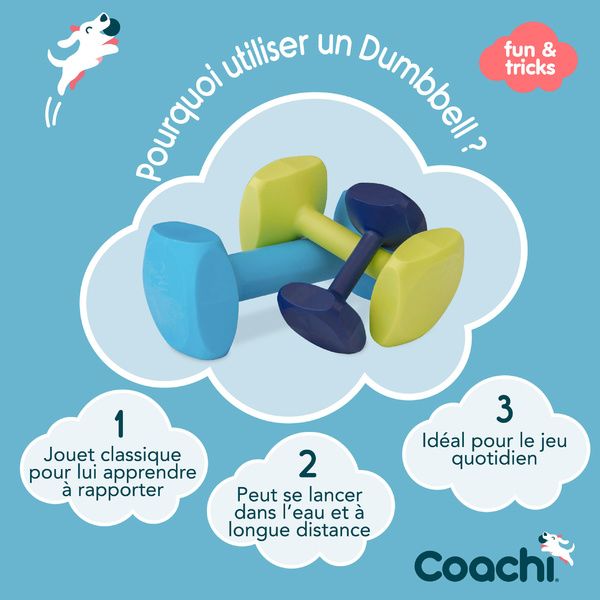 Haltère d'éducation Dumbbell Coachi - Le Royaume de Lecki