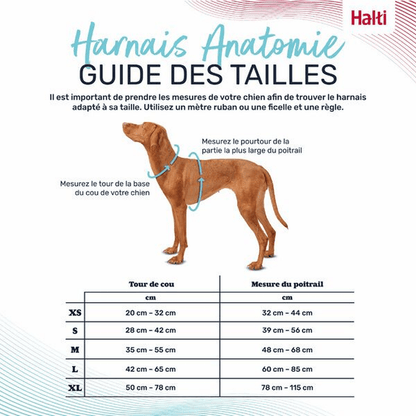 Harnais chien Anatomy Halti - Le Royaume de Lecki