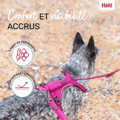 Harnais chien Anatomy Halti - Le Royaume de Lecki