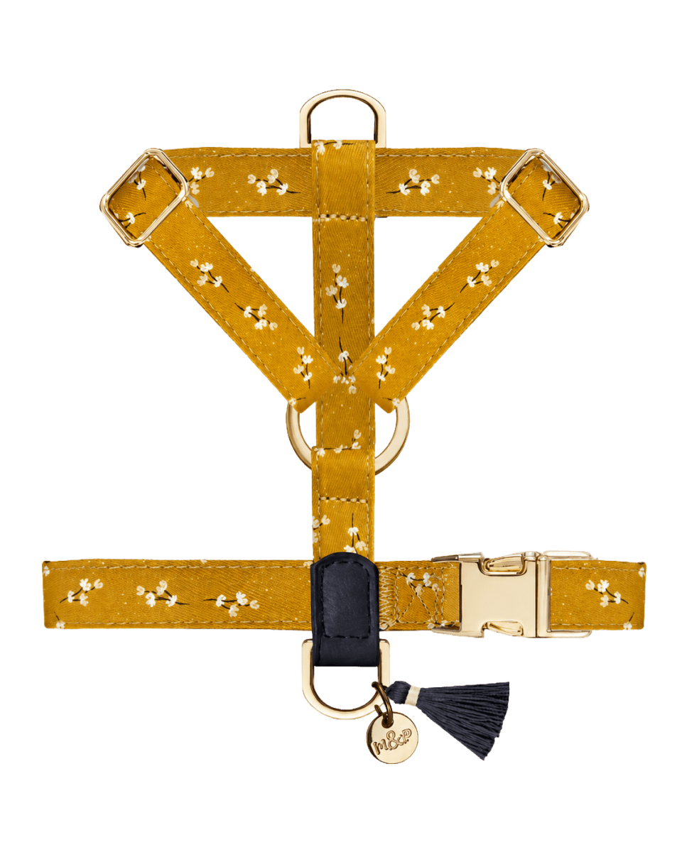 Harnais chien Starps July - Le Royaume de Lecki
