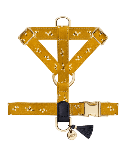 Harnais chien Starps July - Le Royaume de Lecki