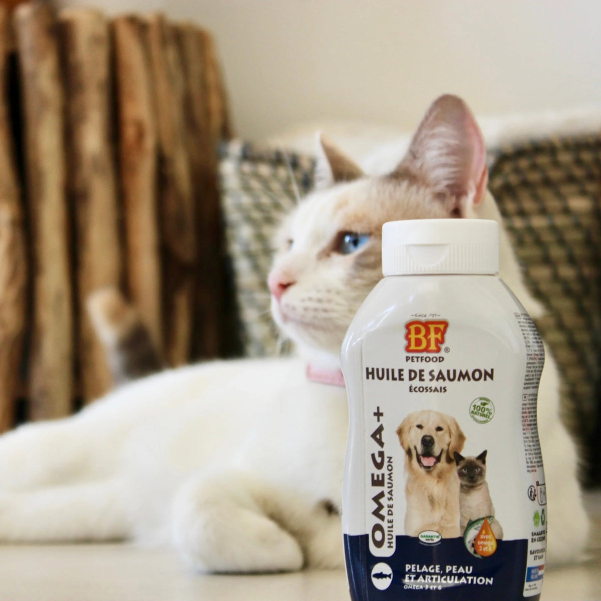 Huile de saumon Oméga+ BF®Petfood - Le Royaume de Lecki