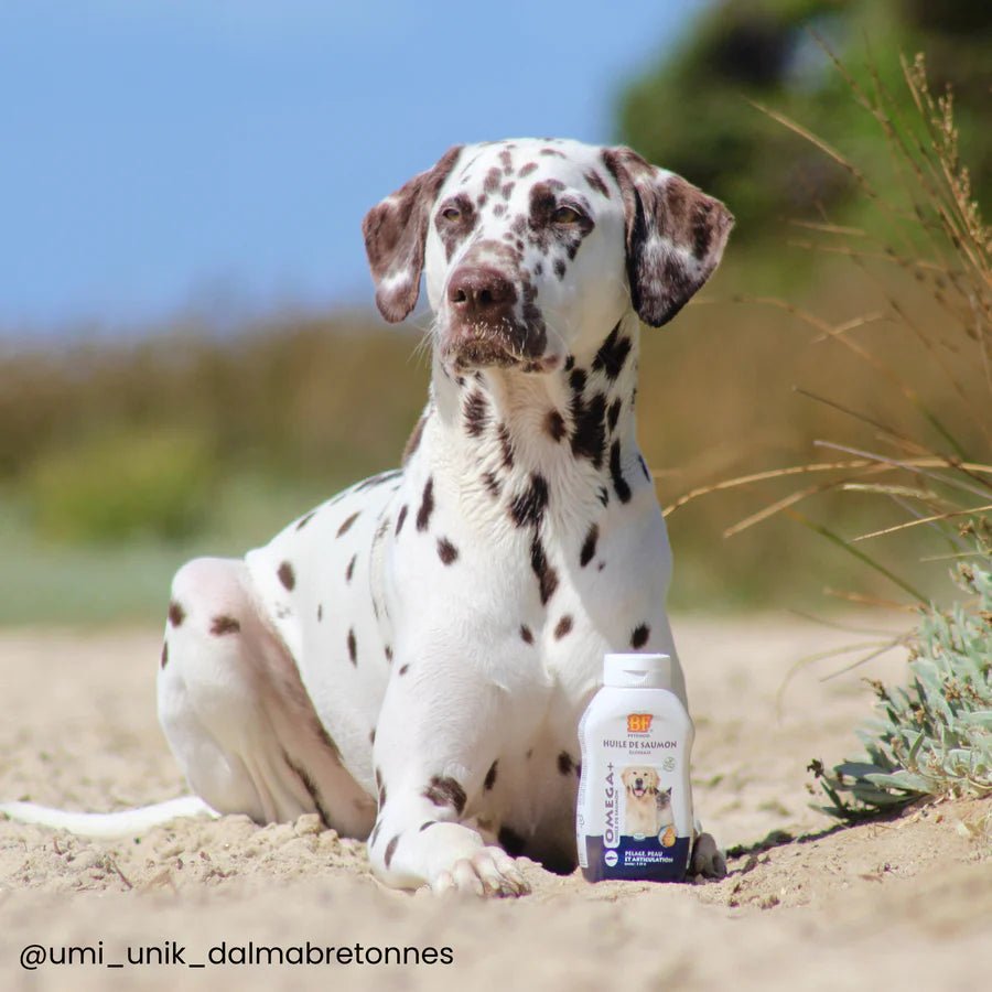 Huile de saumon Oméga+ BF®Petfood - Le Royaume de Lecki