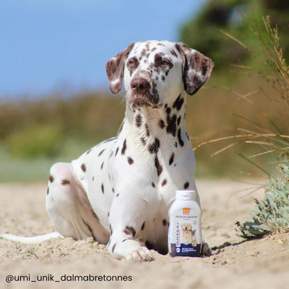 Huile de saumon Oméga+ BF®Petfood - Le Royaume de Lecki