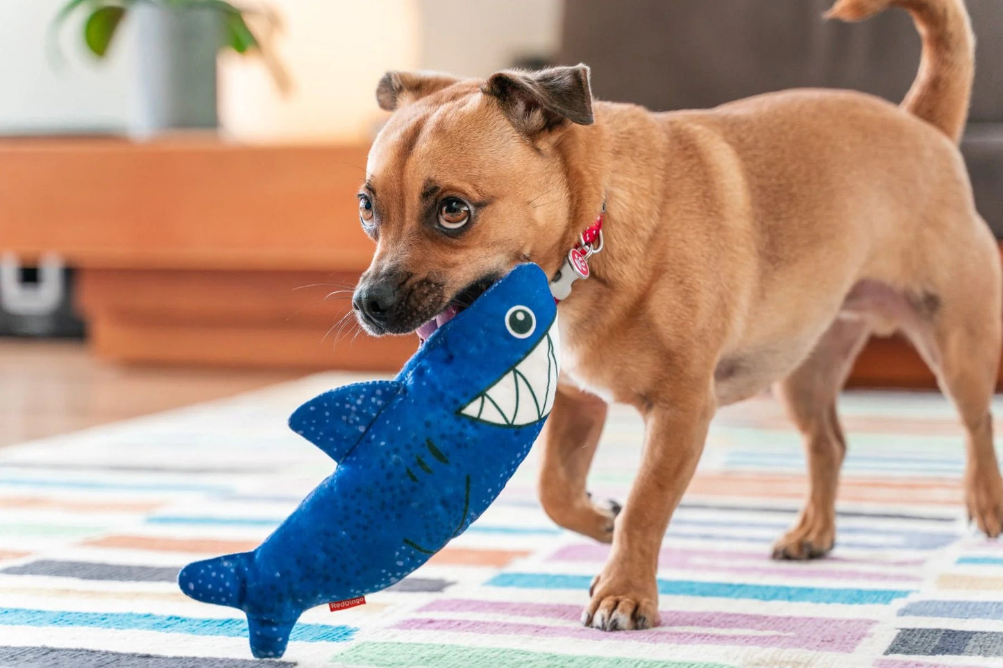 Jouet durable Requin - Le Royaume de Lecki