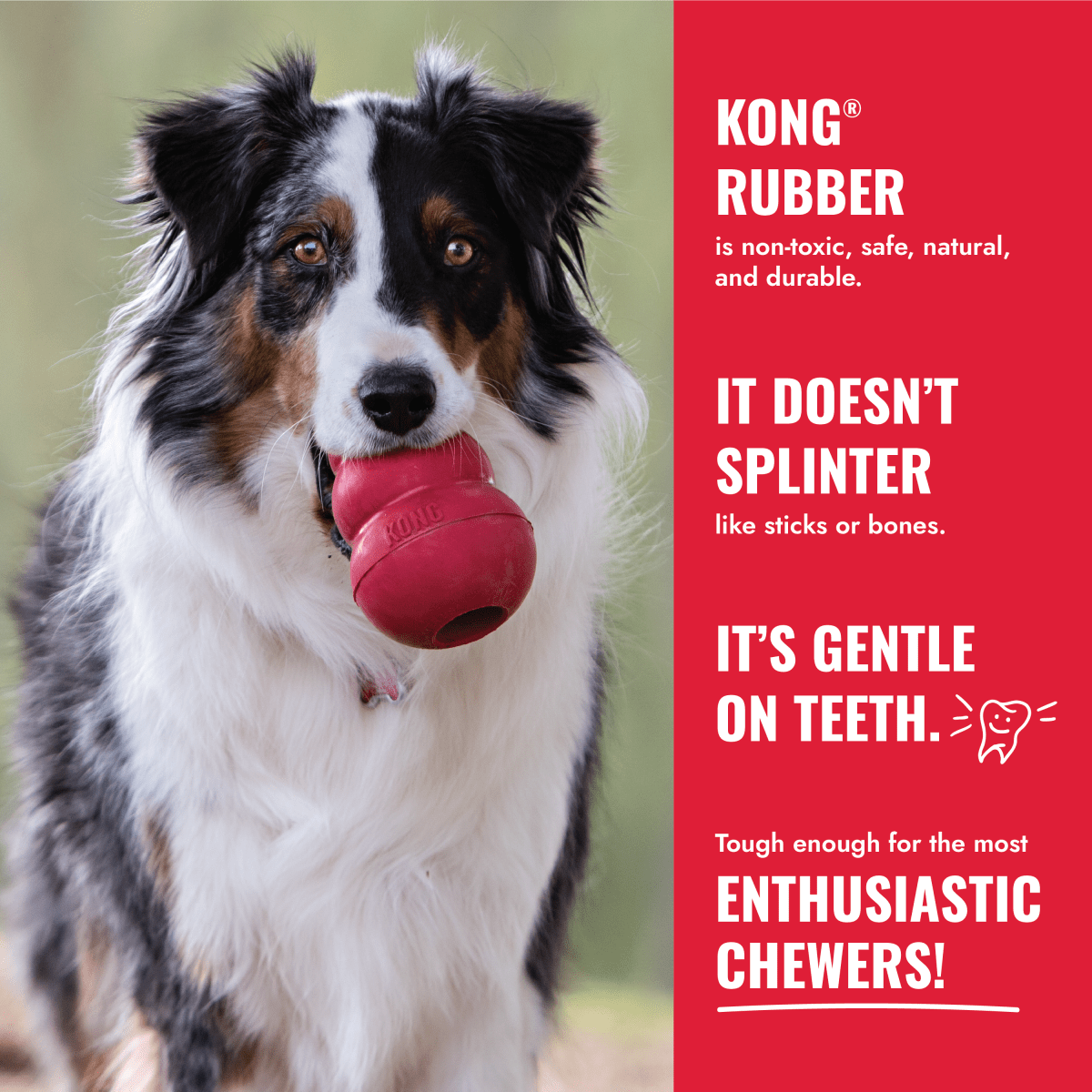 KONG® Ball - Le Royaume de Lecki