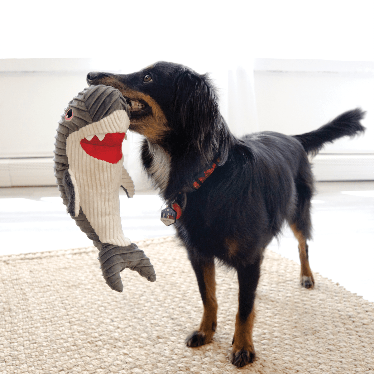 KONG® CuteSeas Requin - Le Royaume de Lecki