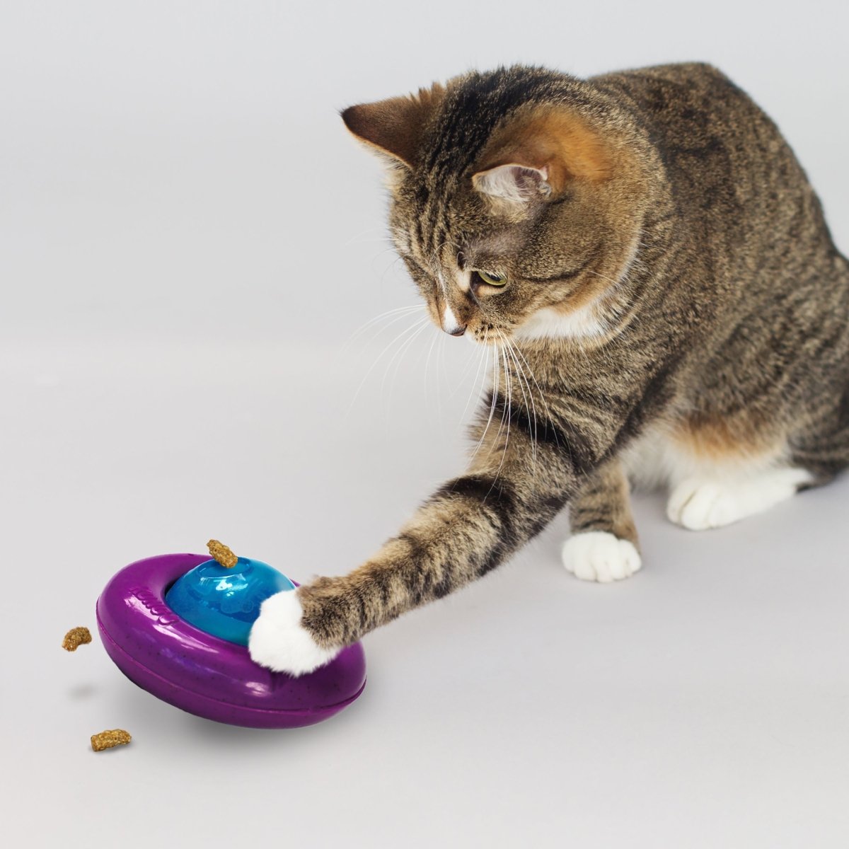 KONG® Infused Gyro (pour chats) - Le Royaume de Lecki