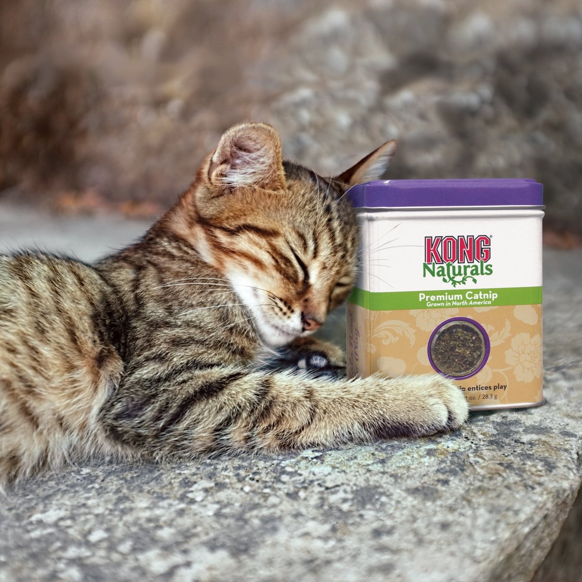 KONG® Naturals Catnip Herbe à chat Premium - Le Royaume de Lecki
