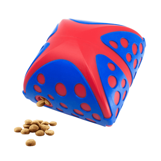 KONG® Rewards Wally - Le Royaume de Lecki