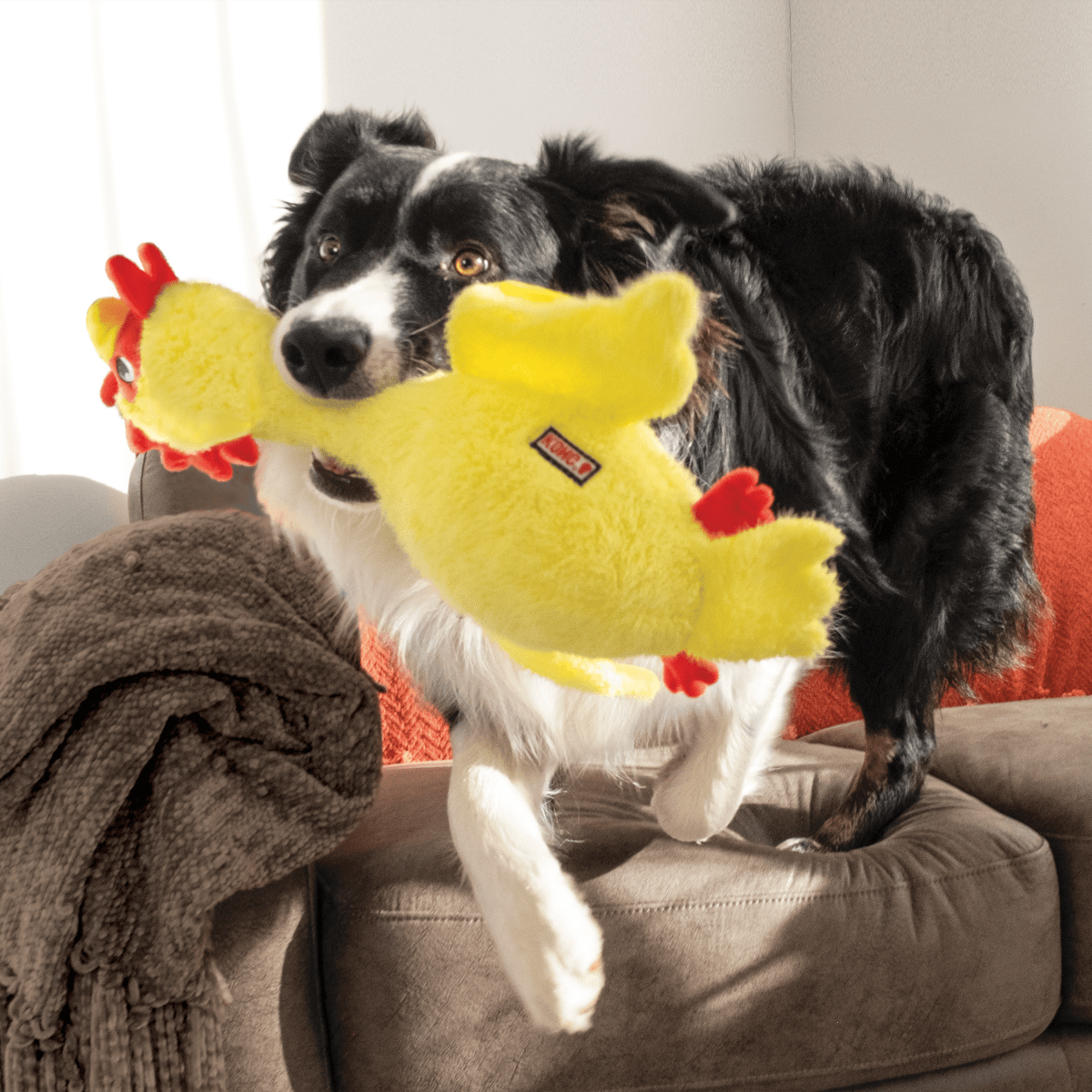 KONG® Scruffs Poulet - Le Royaume de Lecki