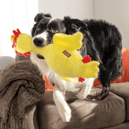 KONG® Scruffs Poulet - Le Royaume de Lecki